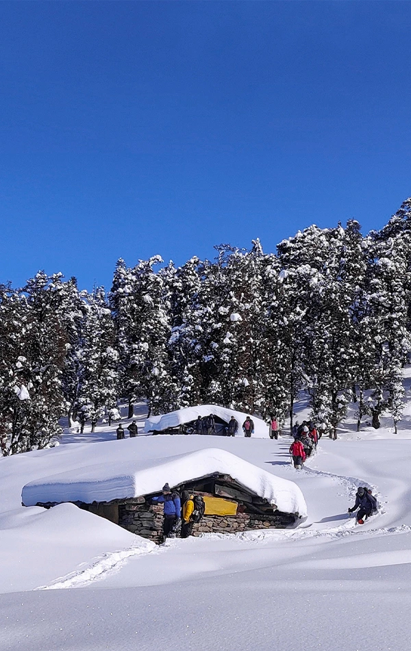 Kedarkantha Trek